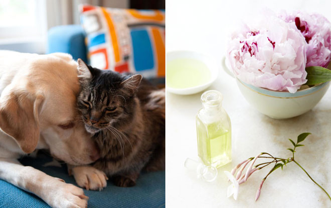 9 điều đơn giản khiến ngôi nhà là ốc đảo hạnh phúc giữa cuộc sống bộn bề lo toan Ảnh 2