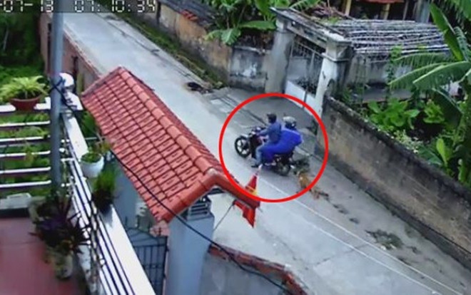 Clip gây phẫn nộ: 2 thanh niên quăng thòng lọng trộm chó ngay trước của nhà trong nháy mắt Ảnh 2