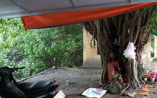 Người phụ nữ tử vong dưới gốc bồ đề, trên người có vết cháy sém Ảnh 2