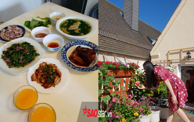 Ban công ngập hoa và rau, mẹ Việt tại Đức đảm đang nấu đủ món quê hương Ảnh 2