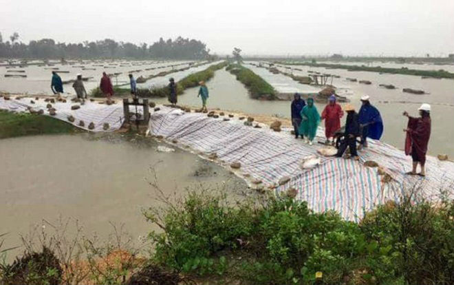 Lo ngại bão Sơn Tinh càn quét - Khẩn trương di dời hàng nghìn hộ dân ven biển Nghệ An, Hà Tĩnh Ảnh 2