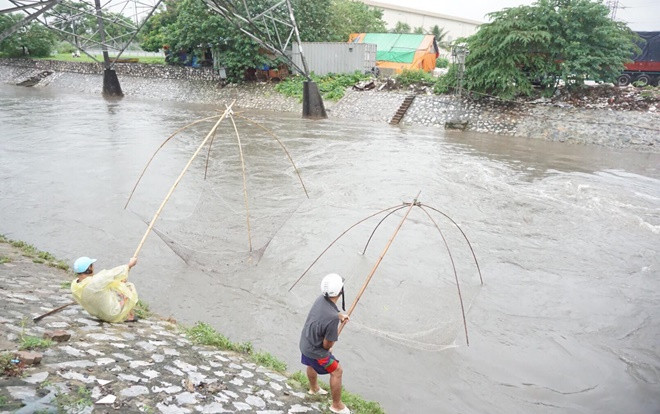 Mưa lớn đường ngập sâu, người Hà Nội tranh thủ đem lưới đi bắt cá Ảnh 2
