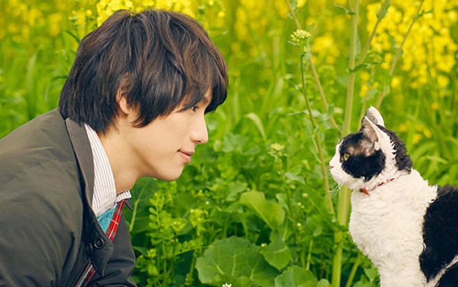 'Tabineko Report' - Bộ phim cảm động dành cho những người yêu mèo Ảnh 2