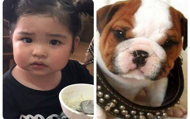 Bộ ảnh nhóc tì 'nấm lùn' đáng yêu khiến cộng đồng mạng chết mê chết mệt Ảnh 2