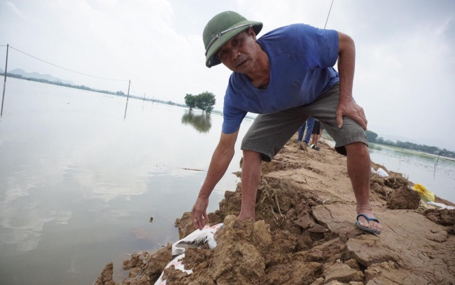 Chùm ảnh nước đê tả Bùi rút mạnh, hàng vạn người dân ở Hà Nội tạm thời qua cơn nguy cấp Ảnh 2
