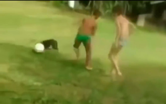 Clip: Chú chó trổ tài dẫn bóng như… Messi Ảnh 2