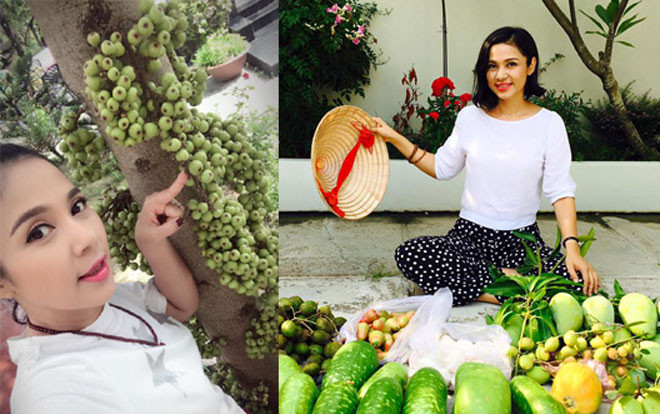 Khu vườn như nông trại đầy hoa trái ăn không hết của Việt Trinh Ảnh 2