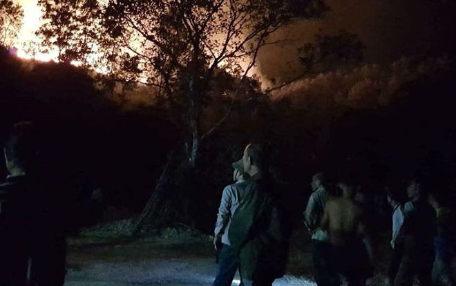 Cháy rừng trong đêm, gần 10 hộ dân phải sơ tán Ảnh 2