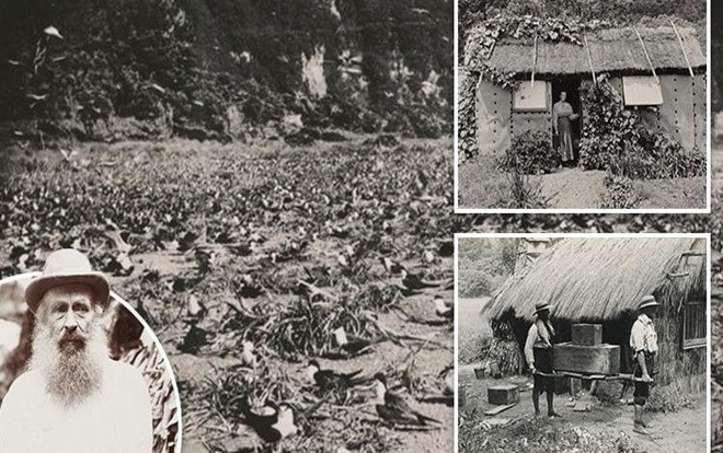 Ly kỳ câu chuyện Robinson ngoài đời thực sống trên đảo hoang suốt 30 năm Ảnh 2