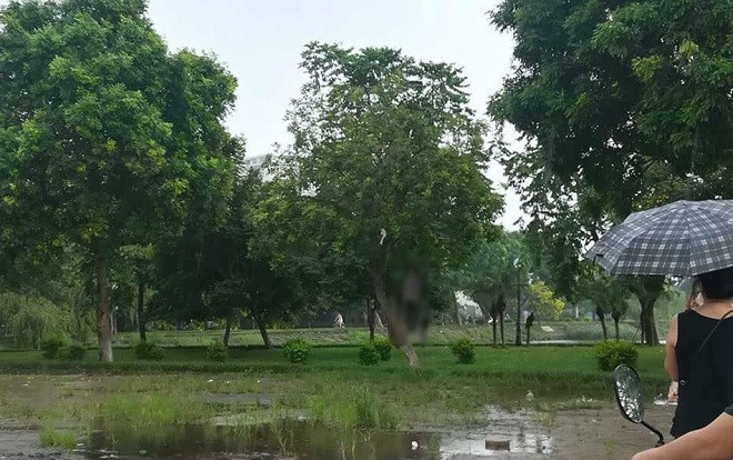 Phát hiện người đàn ông tử vong trong tư thế treo cổ ở hồ Đền Lừ Ảnh 2