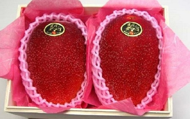 Giới nhà giàu Việt lại ‘sốt xình xịch’ với xoài đỏ Nhật Bản giá 2,5 triệu/quả Ảnh 2