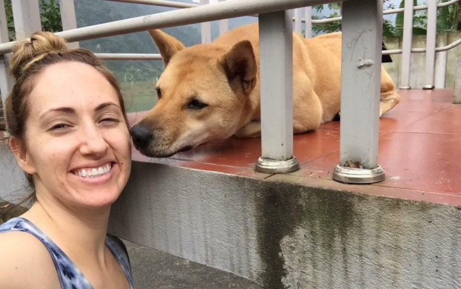 Người phụ nữ Mỹ treo thưởng 50 triệu cho ai tìm được chú chó mất tích ở Quảng Bình Ảnh 2