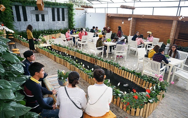 Quán cà phê cho khách ngồi trong nhà kính trồng rau ở Đà Lạt Ảnh 2