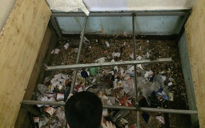 Kinh hoàng với 'siêu phẩm' ở bẩn của 2 cô gái xinh đẹp, gầm giường không khác gì bãi rác thành phố Ảnh 2