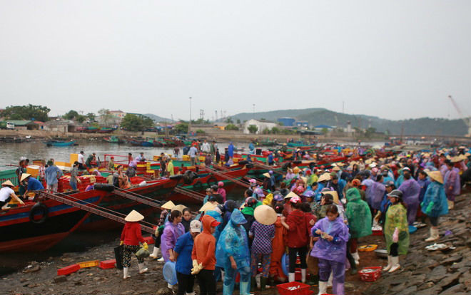 Chợ bến cá nhộn nhịp ở Cửa Lò Ảnh 2