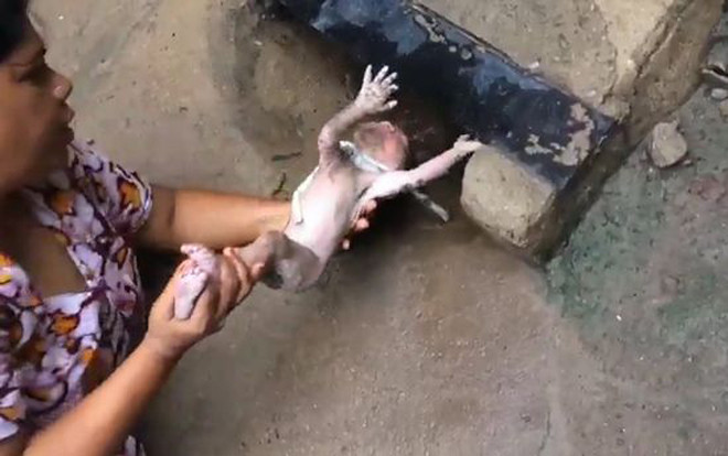 Bị bỏ rơi trong cống thoát nước, em bé còn quấn nguyên dây rốn sống sót thần kỳ Ảnh 2