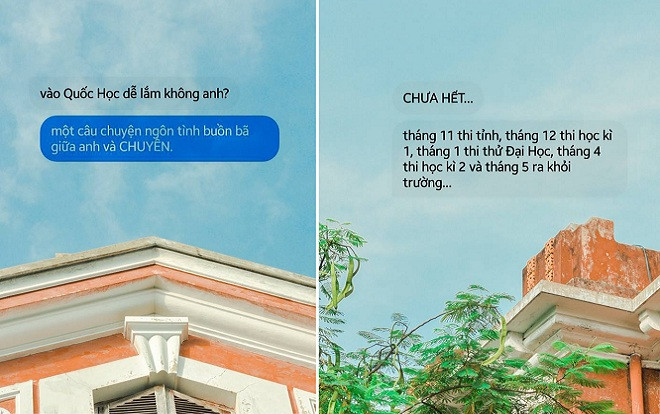 Trường Quốc học Huế: Mảnh đất tưởng khô khan nhưng lại dễ cưng muốn xỉu qua bộ ảnh ngộ nghĩnh Ảnh 2