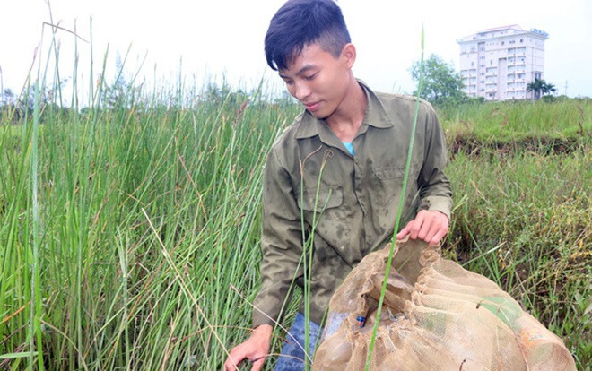 Cậu học trò thiếu cha, vắng mẹ đỗ ĐH Bách khoa HN nhưng không có tiền nhập học Ảnh 2