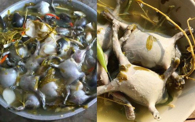Món ếch òn nguyên con khiến nhiều người nhìn thôi đã khiếp vía này hóa ra là đặc sản nổi tiếng ở một vùng đất tại Việt Nam Ảnh 2