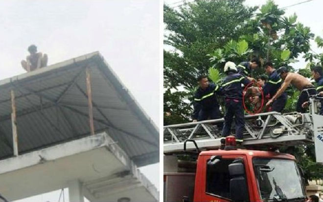 Nam thanh niên nghi 'ngáo đá' trèo lên nóc nhà dân nhảy múa la hét Ảnh 2