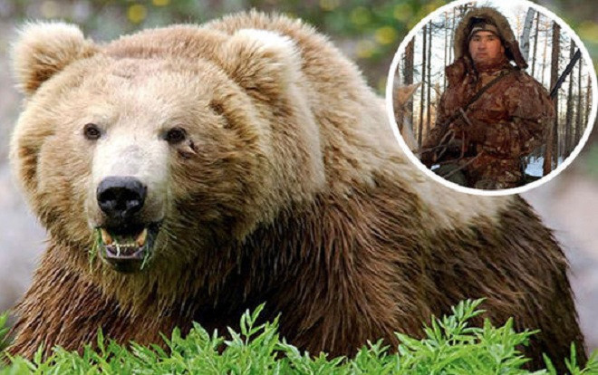 Cặp gấu nâu tấn công và ăn thịt người trong khu bảo tồn Ảnh 2