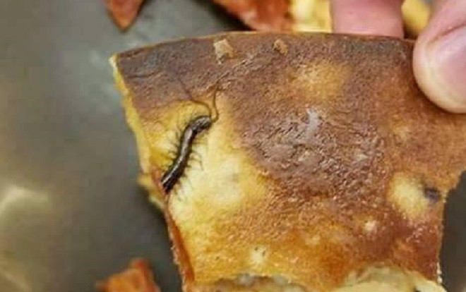 Ăn gần hết miếng pizza, anh chàng phát hoảng khi thấy… nửa xác con rết đen sì bên trong Ảnh 2