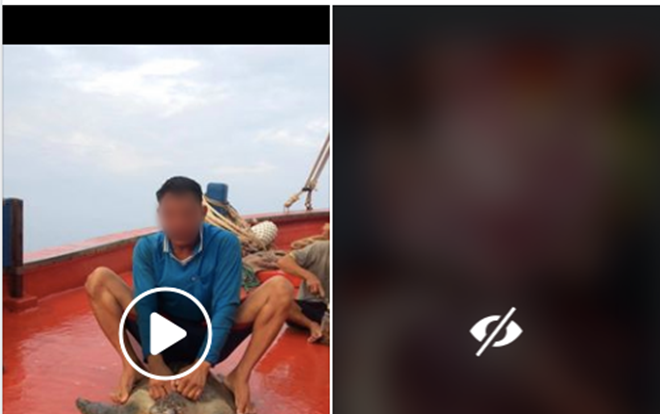 Clip ngư dân cưỡi lên mình rồi hành hạ, giết hại tàn nhẫn rùa biển khiến nhiều người bức xúc Ảnh 2