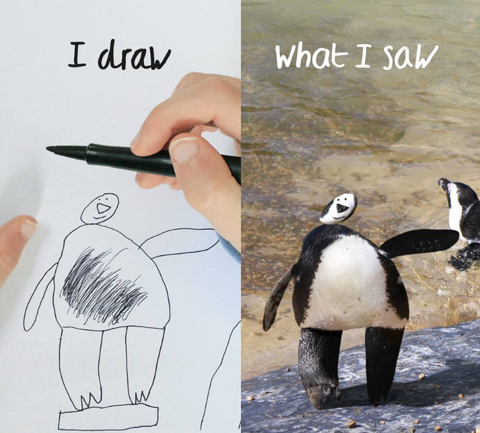 Những chú chim cánh cụt nếu biết cảm nhận nghệ thuật sẽ chẳng thể hình dung đây là hình ảnh của chính mình. Ảnh: BrightSide