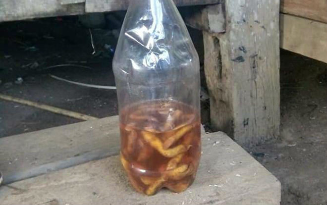 Uống rượu ngâm rễ cây, 2 cậu cháu tử vong trong đêm Ảnh 2