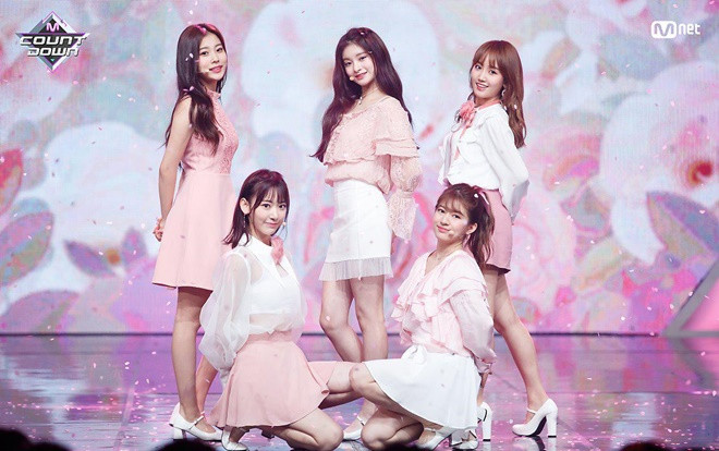 Chung kết Produce 48: Fan 'so găng' chi tiền mua quà siêu khủng để… đua lượt vote cho thí sinh Ảnh 2