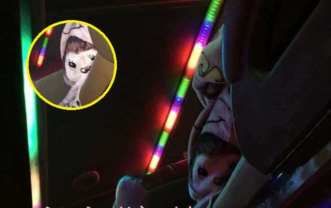 Ám ảnh đi xe khách dịp nghỉ lễ 2/9: Không dám ho he nửa lời vì gặp phải chiếc chăn 'định mệnh' Ảnh 2