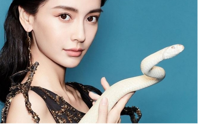 Rũ bỏ hình ảnh yêu kiều dịu dàng, Angelababy ấn tượng với bộ ảnh thời trang với rắn trên tạp chí Ảnh 2