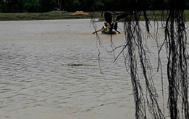 Tìm thấy thi thể người đàn ông mất tích khi chăn trâu Ảnh 2