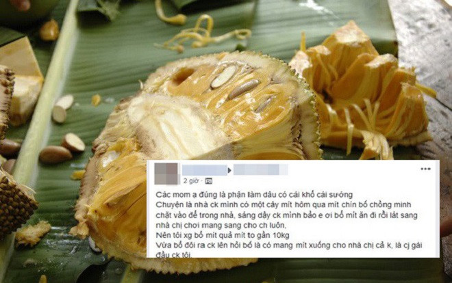 Bị bố chồng mắng chỉ vì quả mít chín, nàng dâu đang mang bầu ấm ức kể khổ khiến hội chị em tranh cãi gay gắt Ảnh 2