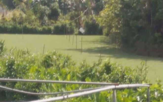 Bơm nước chống ngập cho cỏ, nam thanh niên bị điện giật tử vong Ảnh 2