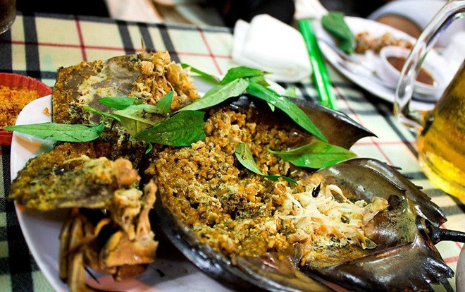 Tìm hiểu truyền thuyết 'dính như sam' và món ăn thuộc hạng ngon cực phẩm ở biển Hạ Long Ảnh 2