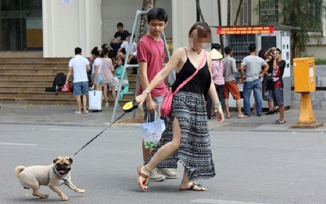 Cấm mang chó vào phố đi bộ hồ Gươm: 'Nhìn con chó nặng 20-30kg lù lù tiến đến ai mà chẳng sợ, cứ cẩn thận vẫn hơn' Ảnh 2