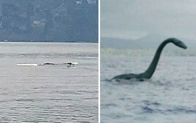 Phát hiện sinh vật biển dài hơn 12 m giống khủng long Ảnh 2