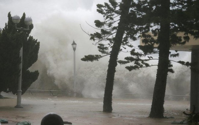 Viện phó lý giải siêu bão Mangkhut không vào Việt Nam Ảnh 2