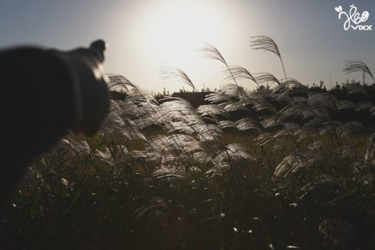 Nếu không là ca sỹ, chắc chắn 8 sao Hàn này sẽ trở thành những nhiếp ảnh gia tài năng Ảnh 14