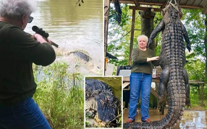 Cận cảnh pha hạ gục cá sấu khổng lồ dài 4 m chỉ bằng một phát bắn Ảnh 2