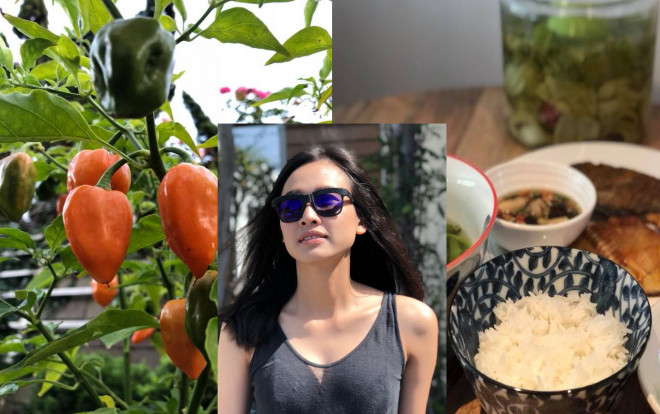 Không chỉ khoe cây trái trong vườn, Dương Mỹ Linh còn khoe thêm điều này Ảnh 2