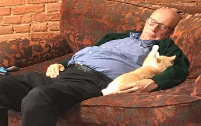 Gây quỹ gần 700 triệu chỉ trong 2 ngày nhờ bức ảnh ngủ gật bên mèo cưng Ảnh 2