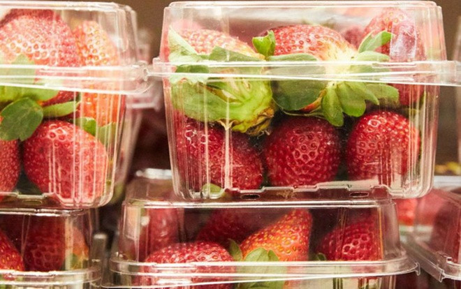 Sau Australia, dâu tây gắn kim nhọn xuất hiện ở New Zealand Ảnh 2