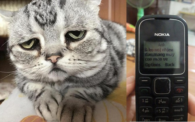 Đuổi vợ ra khỏi nhà rồi nhắn tin đòi mèo, anh chồng khiến dân tình đứng ngồi không yên Ảnh 2