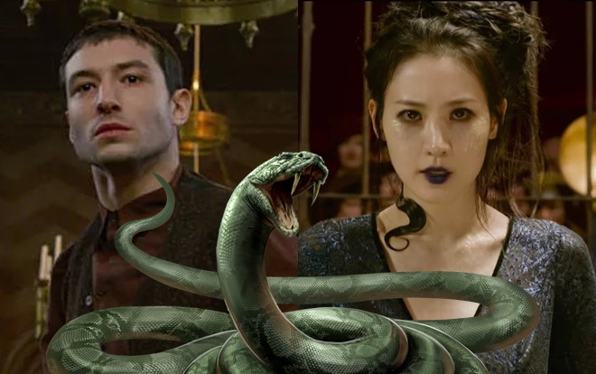 Trailer cuối cùng của 'Fantastic Beasts 2' đã xác nhận giả thuyết 'rắn chúa' Nagini là do mỹ nữ biến hình Ảnh 2