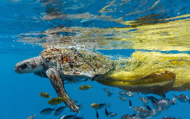 Chùm ảnh 'tố' con người đã hủy hoại môi trường như thế nào Ảnh 2