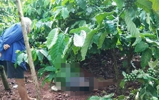 Đi thăm rẫy, tá hỏa phát hiện người đàn ông nằm tử vong dưới gốc cà phê Ảnh 2