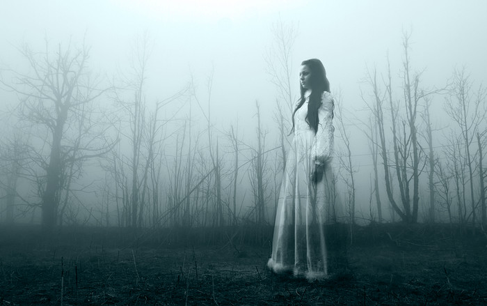 Khả năng kỳ dị của mắt người: Phát hiện 'ảo ảnh ma quái' Ảnh 2