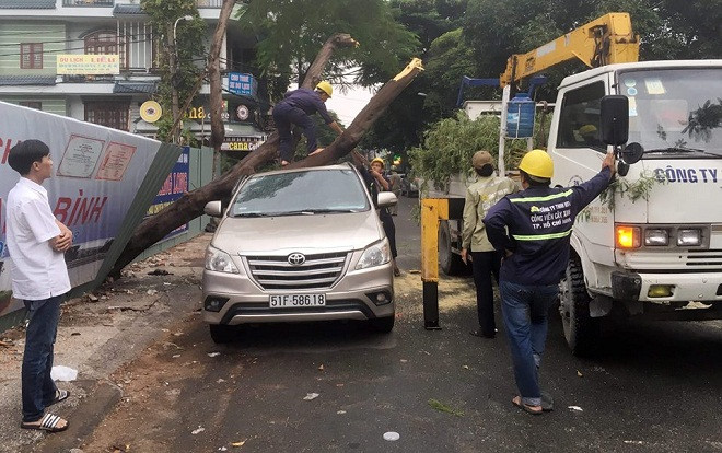 Cây ngã đè bẹp ô tô đậu trên đường, tài xế may mắn thoát chết trong gang tấc Ảnh 2